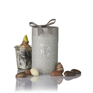 Marcipanæg i Cocoture gaverør - 130g